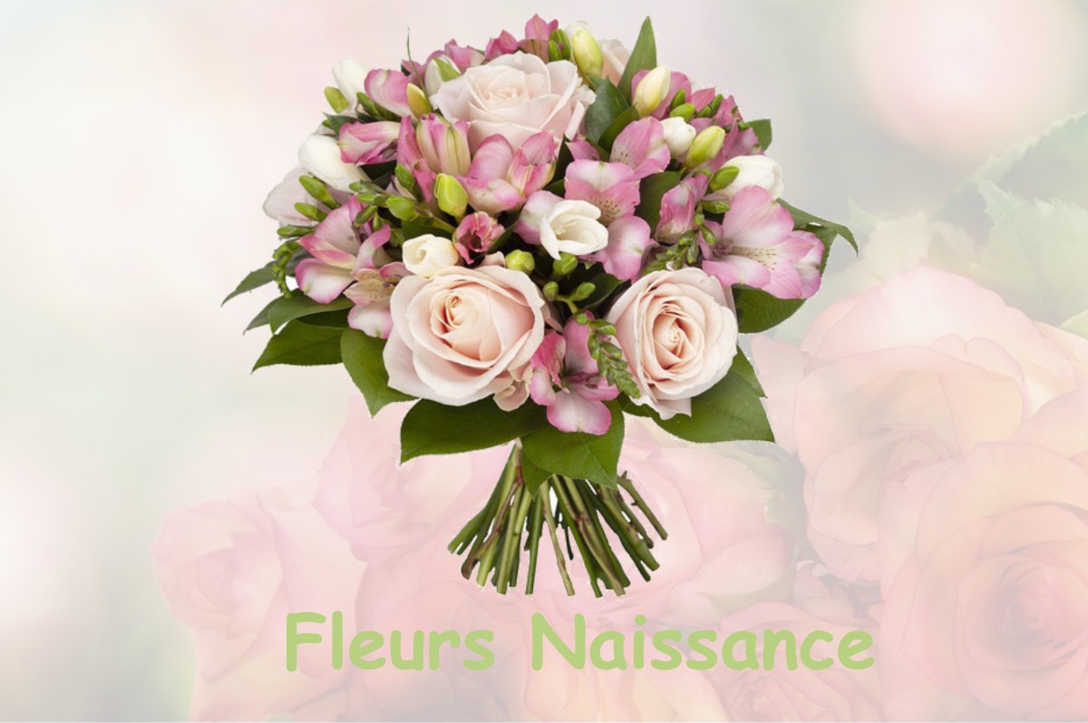 fleurs naissance CHAVANNES-SUR-L-ETANG